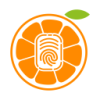小橙信贷款app官网版