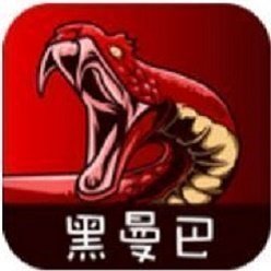 黑曼巴贷款app官网版